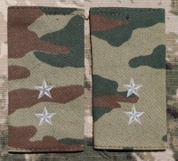 bsb28s.jpg (2963 bytes)