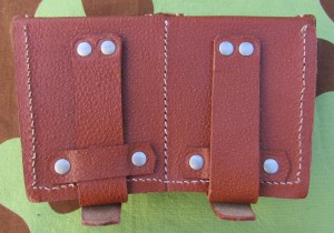 np3bs.jpg (3905 bytes)