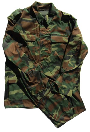 r33s.jpg (61714 bytes)