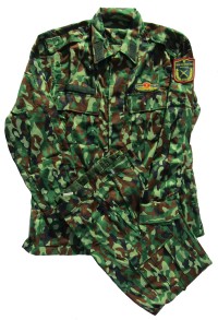 vi1s.jpg (5071 bytes)