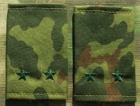 vsr17s.jpg (47065 bytes)