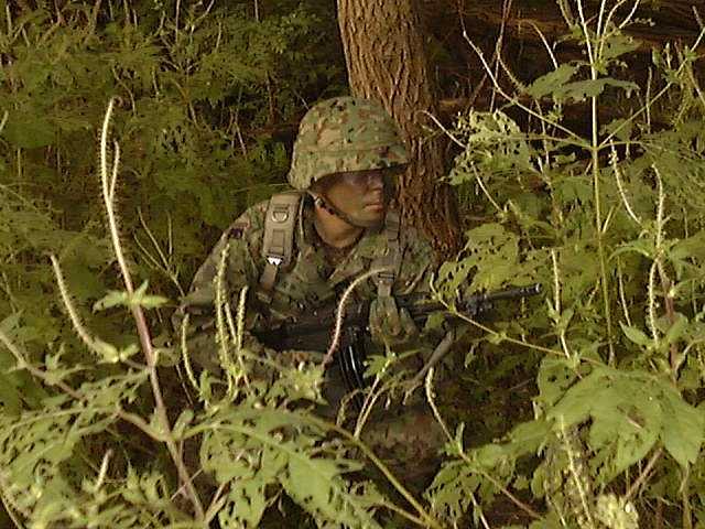 jieitai photo 7.jpg (80348 bytes)