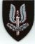 sas-badge-s.jpg (3184 bytes)