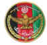 afg4s.jpg (60819 bytes)